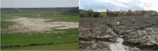 Soil erosion has mixed effects on the environmental impacts of wheat production in a large, semi-arid Mediterranean agricultural basin