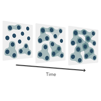 Abstract Image