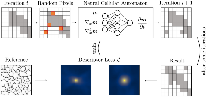 Reconstructing Microstructures From Statistical Descriptors Using Neural Cellular Automata