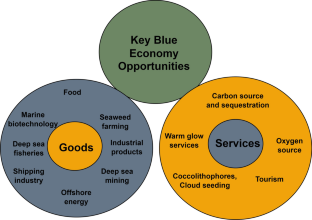 Sustainable blue economy: Opportunities and challenges