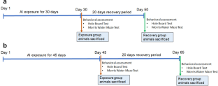 Post-exposure self-recovery reverses oxidative stress, ameliorates pathology and neurotransmitters imbalance and rescues spatial memory after time-dependent aluminum exposure in rat brain