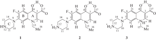 Molecular Model of Norfloxacin Translocation through Yersinia pseudotuberculosis Porin OmpF Channel: Electrophysiological and Molecular Modeling Study