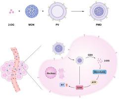 Platelet membrane biomimetic nanomedicine induces dual glutathione consumption for enhancing cancer radioimmunotherapy