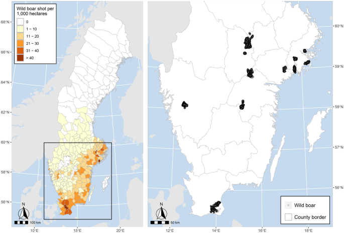 Density-dependent dinner: Wild boar overuse agricultural land at high densities