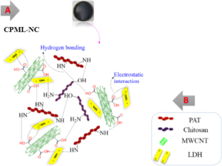 Preparation and characterization of CS/PAT/ MWCNT@MgAl-LDHs nanocomposite for Cd2+ removal and 4-nitrophenol reduction