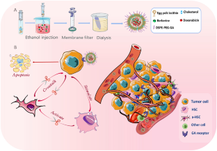 Anti-tumor therapy of glycyrrhetinic acid targeted liposome co-delivery of doxorubicin and berberine for hepatocellular carcinoma.