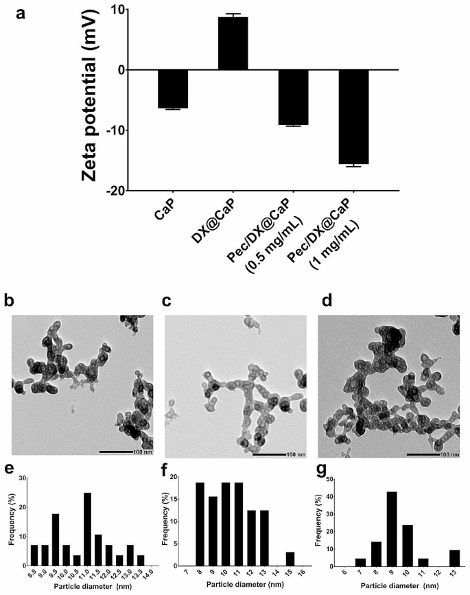 Doxycycline-Loaded Calcium Phosphate Nanoparticles with a Pectin Coat Can Ameliorate Lipopolysaccharide-Induced Neuroinflammation Via Enhancing AMPK.