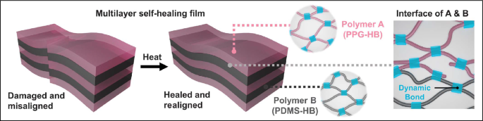 Self-healing polymer exhibits autonomous alignment