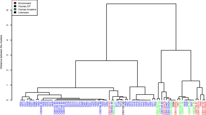 Establishment of a Novel Short Tandem Repeat Typing Method for Exophiala dermatitidis.