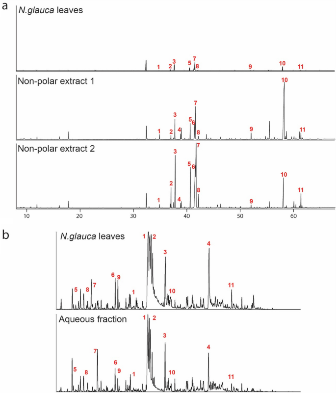 Non-targeted discovery of high-value bio-products in Nicotiana glauca L: a potential renewable plant feedstock