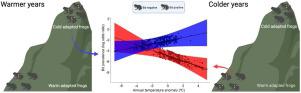 Thermal mismatch explains fungal disease dynamics in Brazilian frogs