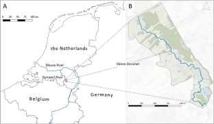 Comparing the effectiveness of short-focal camera trapping, live trapping, and soil eDNA for surveying small mammals: A case study on Eurasian water shrew (Neomys fodiens)