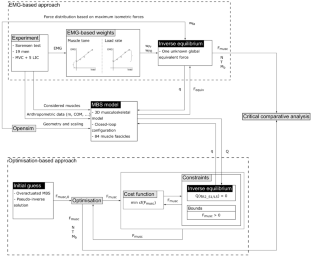 Comparison between EMG-based and optimisation-based approaches for back-muscle forces and intervertebral efforts