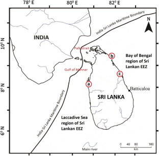 Macro Symbionts of Jellyfish Reported in the Coastal Waters of Sri Lanka