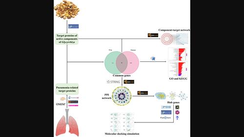 Network pharmacology combined with molecular docking simulations reveal the mechanism of action of Glycyrrhiza for treating pneumonia