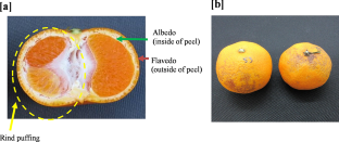 A comprehensive analysis of gibberellic acid and prohydrojasmon treatments for mitigating rind puffing and rind disorder of early-maturing cultivar of satsuma mandarin