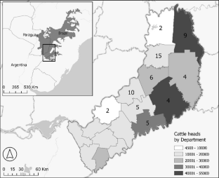 Silvopastoral systems in the Upper Atlantic Forest of Argentina: what type of farms adopt them and how?