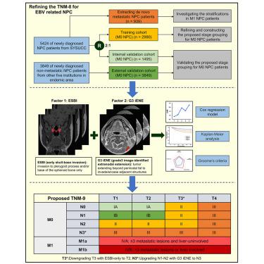 Refining the 8th edition TNM classification for EBV related nasopharyngeal carcinoma.