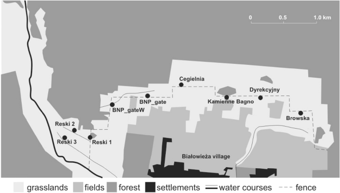 Comparing direct (live-trapping) and indirect (camera-trapping) approaches for estimating the abundance of weasels (Mustela nivalis)