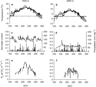 Seasonal and diurnal variations in soil respiration rates at a treeline ecotone and a lower distribution limit of subalpine forests