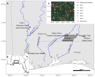 Using genomic data to estimate population structure of Gopher Tortoise (Gopherus polyphemus) populations in Southern Alabama