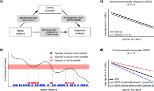 Comparative epigenetic and genetic spatial structure in Mediterranean mountain plants: a multispecies study