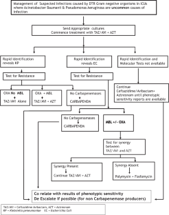 Difficult to Treat Gram-Negative Bacteria—The Indian Scenario