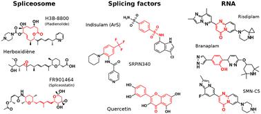 Small molecules modulating RNA splicing: a review of targets and future perspectives