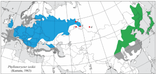 Parasitoids (Hymenoptera: Eulophidae, Braconidae) as a Mortality Factor for the Lime Leaf Miner (Phyllonorycter issikii, Lepidoptera, Gracillariidae) in Transuralia and West Siberia