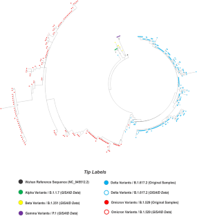 Sequence analysis of the Spike, RNA-dependent RNA polymerase, and protease genes reveals a distinct evolutionary pattern of SARS-CoV-2 variants circulating in Yogyakarta and Central Java provinces, Indonesia