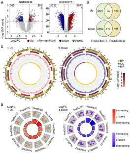 PSMD12 promotes non-small cell lung cancer progression through activating the Nrf2/TrxR1 pathway.