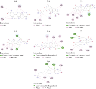 Evaluation of Interactions of Triterpenes in M. charantia with Proteins Involved in Vascularization in In Silico