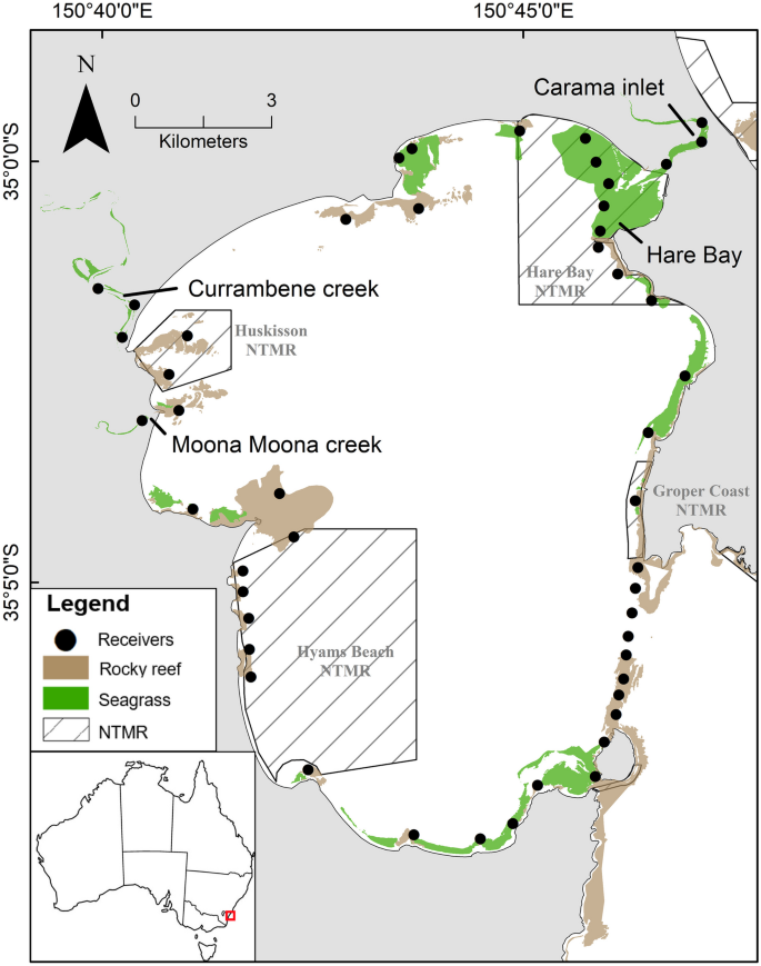 Consequences of Juvenile Fish Movement and Seascape Connectivity: Does the Concept of Nursery Habitat Need a Rethink?