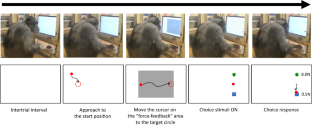 May the force be with you: exploring force discrimination in chimpanzees using the force-feedback device