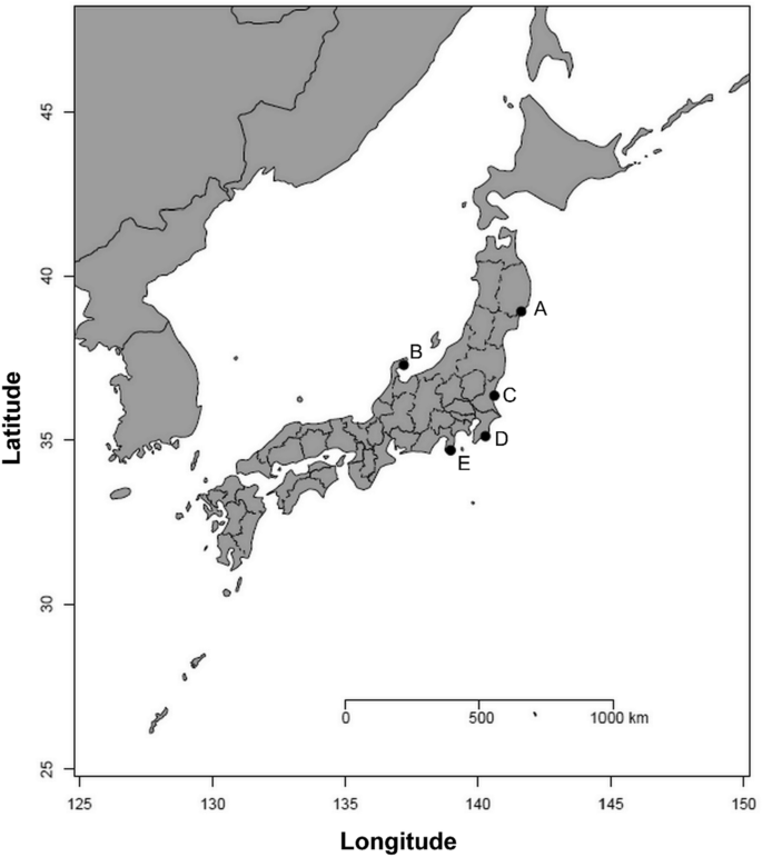 Distribution of tetrodotoxin and its analogs in the toxic flatworm Planocera multitentaculata from Honshu Island, Japan