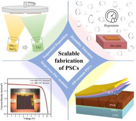 Scalable Large Area Perovskite Solar Cell Modules Fabricated with High Humidity Tolerance by Vacuum Deposition