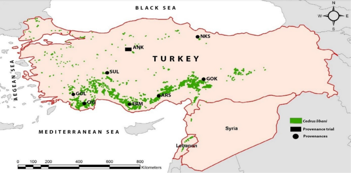 Intraspecific variability in cold hardiness of Taurus cedar (Cedrus libani A. Rich.) in Türkiye