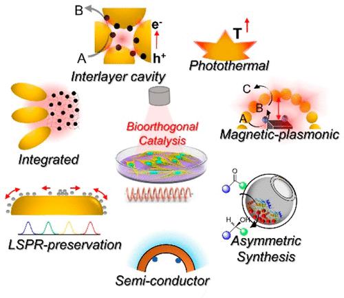 Designer Nanoreactors for Bioorthogonal Catalysis