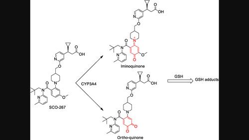 Evidence for cytochrome P450 3A4-mediated metabolic activation of SCO-267