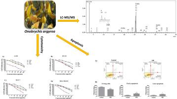 Phytochemical profile by LC-MS/MS analysis and evaluation of antioxidant, antidiabetic, anti-Alzheimer, and anticancer activity of Onobrychis argyrea leaf extracts