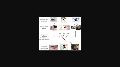 Inhibition of vertebrate complement system by hematophagous arthropods: inhibitory molecules, mechanisms, physiological roles, and applications.