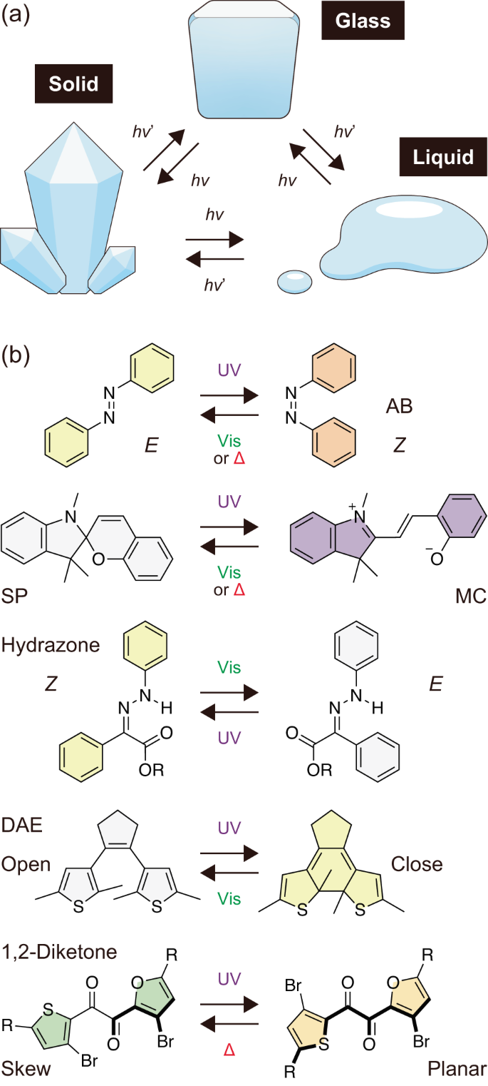 Recent progress in photoinduced transitions between the solid, glass, and liquid states based on molecular photoswitches