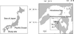 Horizontal movements and home range of black sea bream Acanthopagrus schlegelii in the natural coast of Hiroshima Bay, Japan