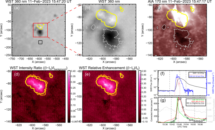 A Statistical Study of Solar White-Light Flares Observed by the White-Light Solar Telescope of the Lyman-Alpha Solar Telescope on the Advanced Space-Based Solar Observatory (ASO-S/LST/WST) at 360 nm