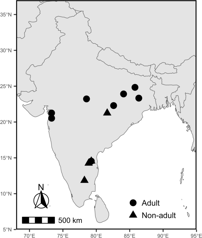 Craniometric variation and taxonomic boundaries in the Madras Treeshrew (Scandentia, Tupaiidae: Anathana ellioti [Waterhouse, 1850]) from India