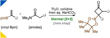 Borylated cyclobutanes via thermal [2 + 2]-cycloaddition†