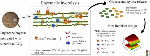 Tailoring a cellulolytic enzyme cocktail for efficient hydrolysis of mildly pretreated lignocellulosic biomass