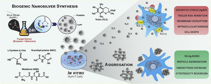 Metal-based nanoparticles in antibacterial application in biomedical field: Current development and potential mechanisms.