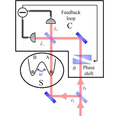 Unravelling-based (auto)control of back-action in atomic Bose–Einstein condensate