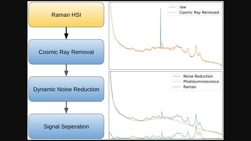 Raman and photoluminescence signal separation in Raman hyperspectral imagery including noise reduction